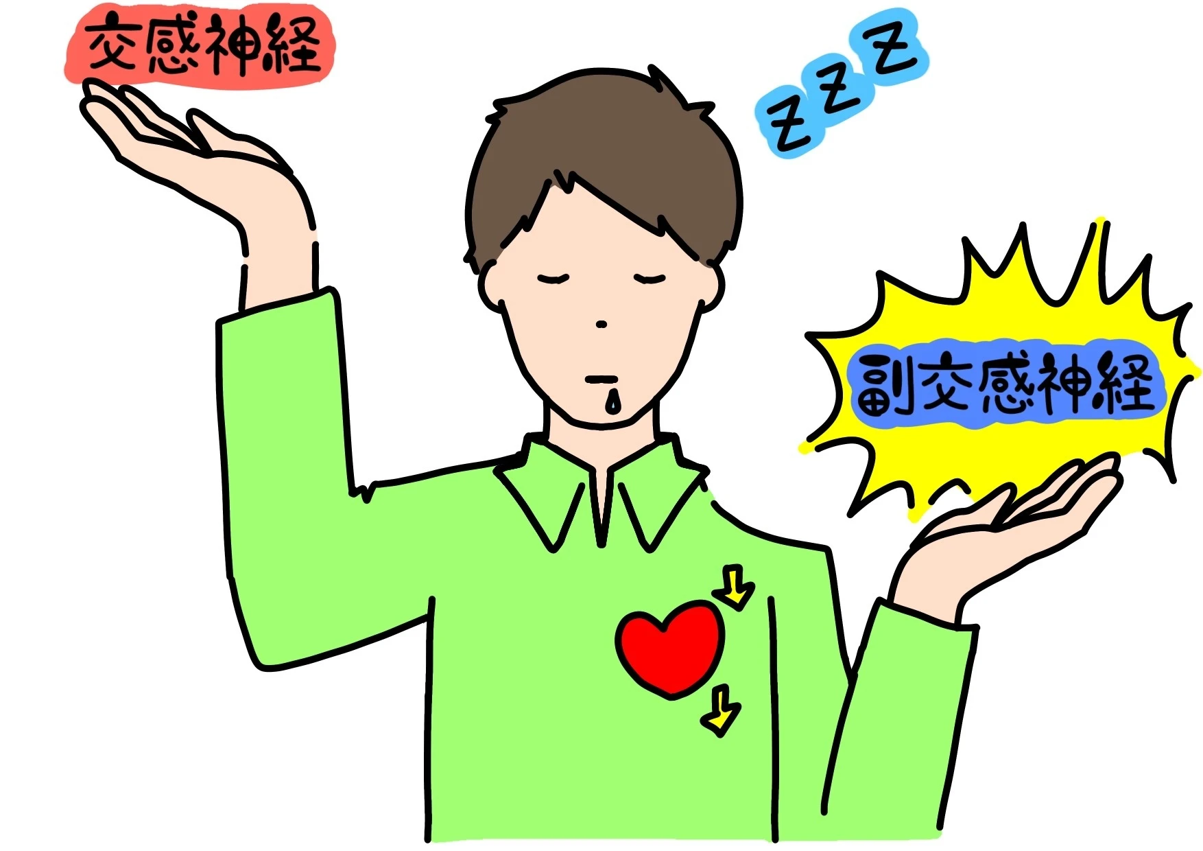 2. 自律神経失調症と身体の関係