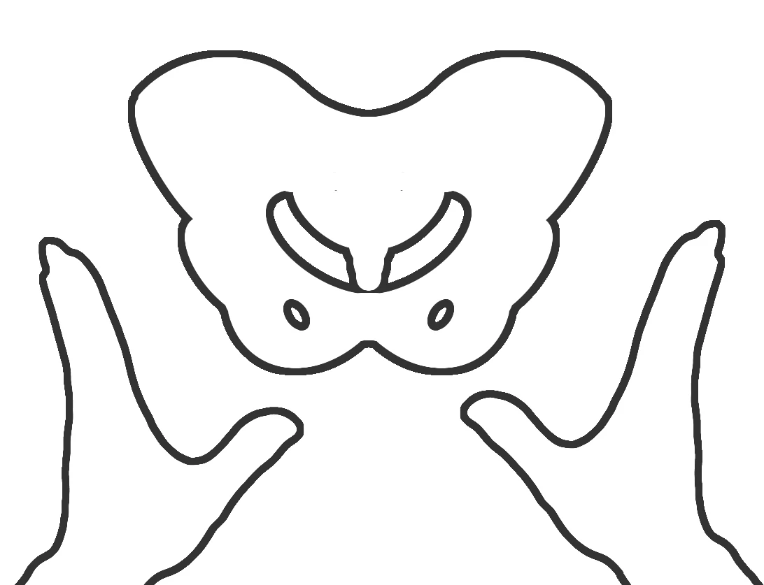 骨格矯正と整体で自然治癒力を促進する癒し空間