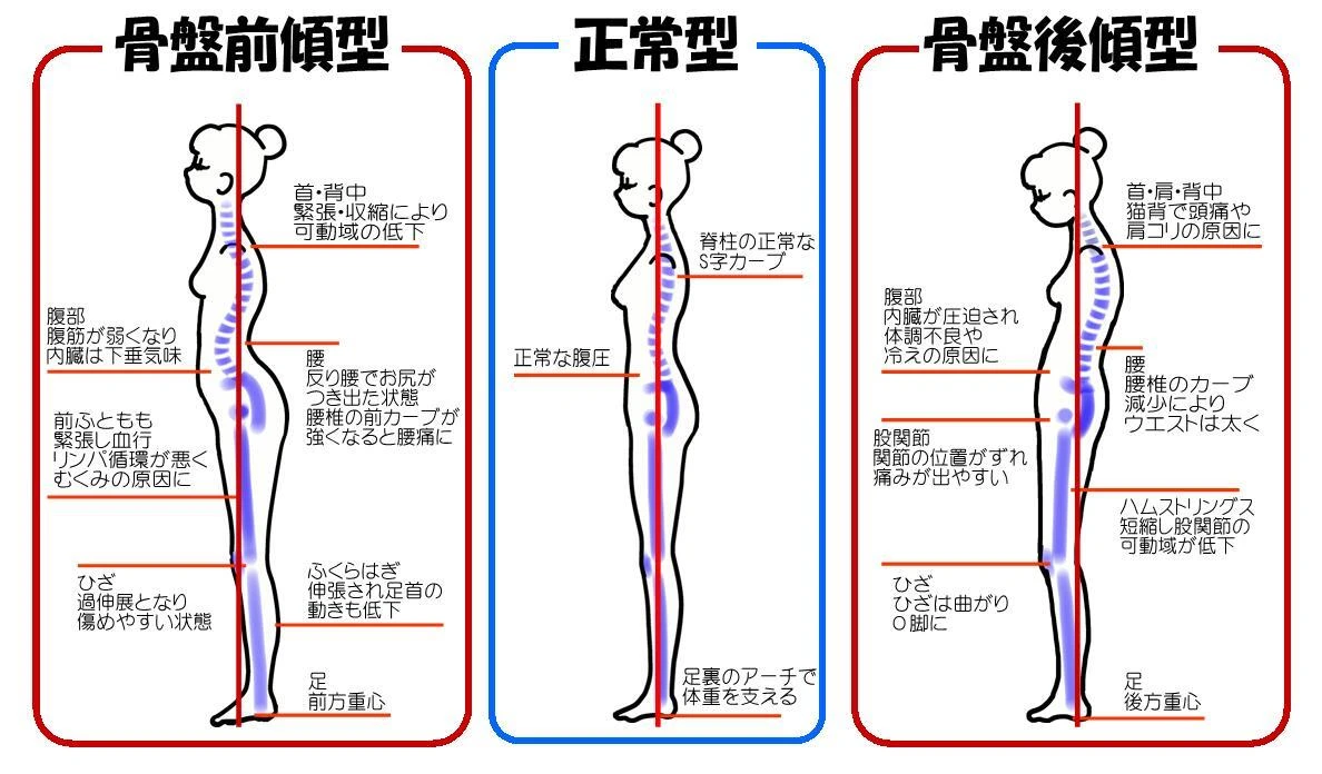 貝塚の当院で身体の歪みを整えて、自然治癒力を高める！
