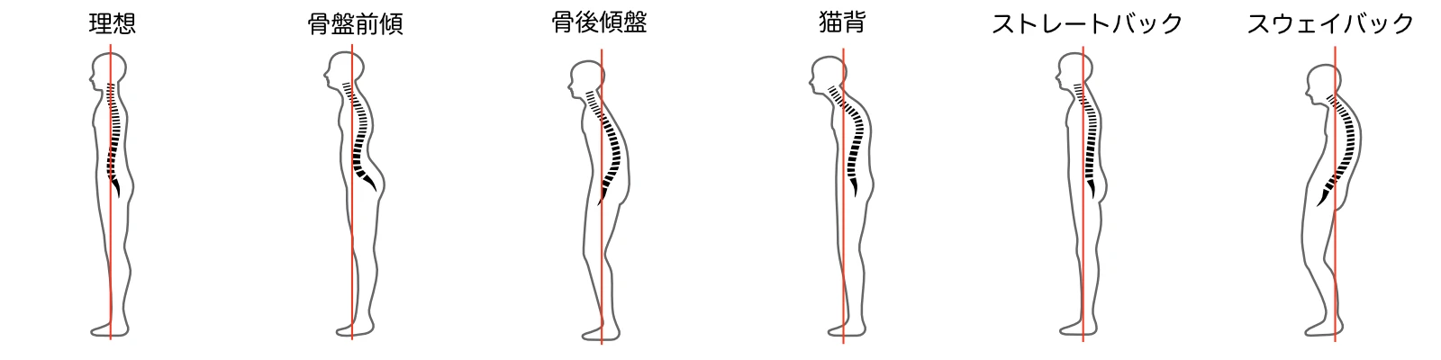 当院の施術法