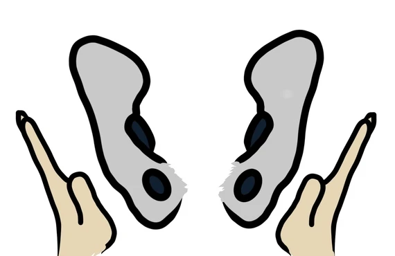 骨盤の歪みを整えて、疲れ知らずの生活を実現しましょう！
