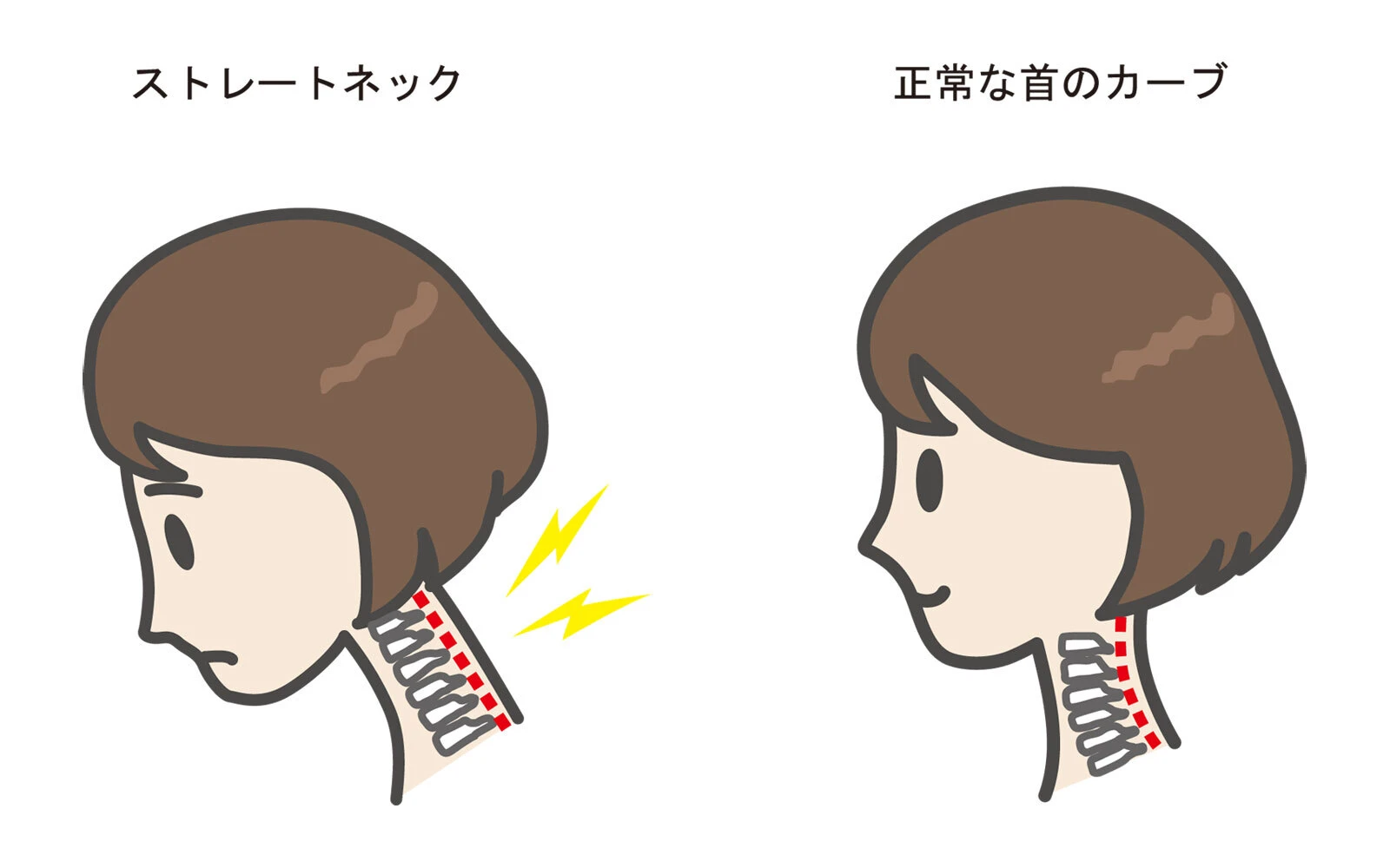 整体：身体のバランスを整える