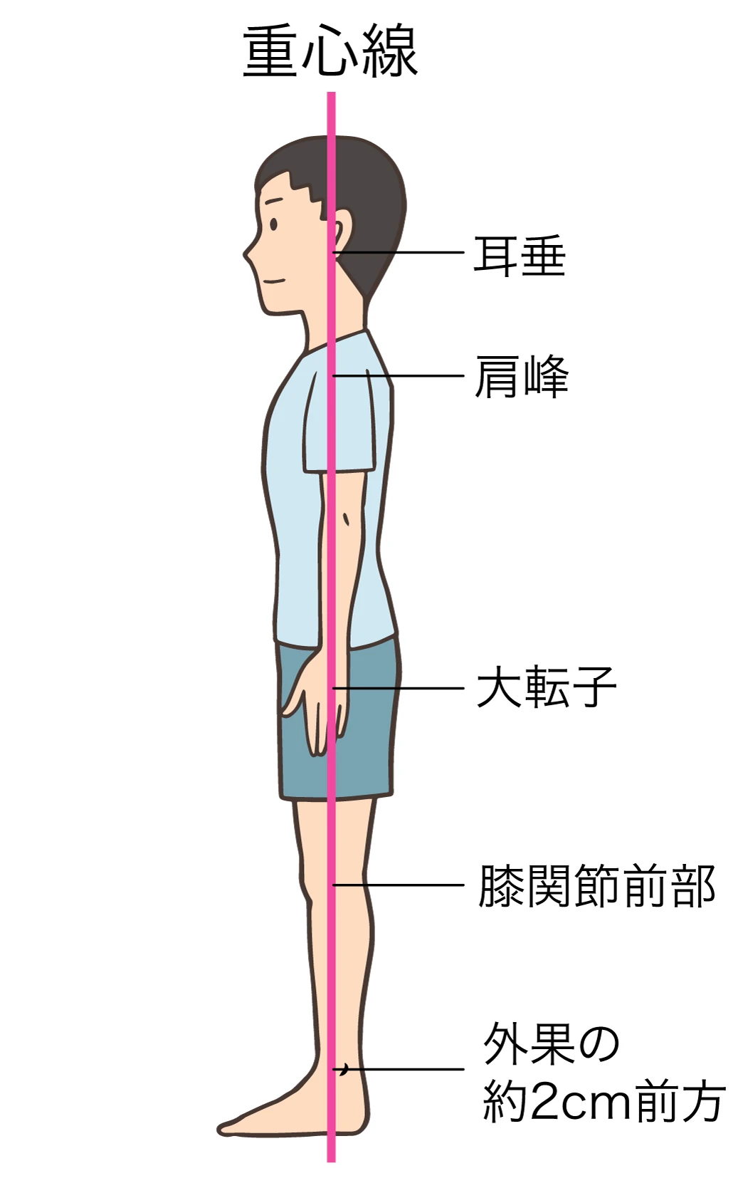 当院の姿勢改善プログラム