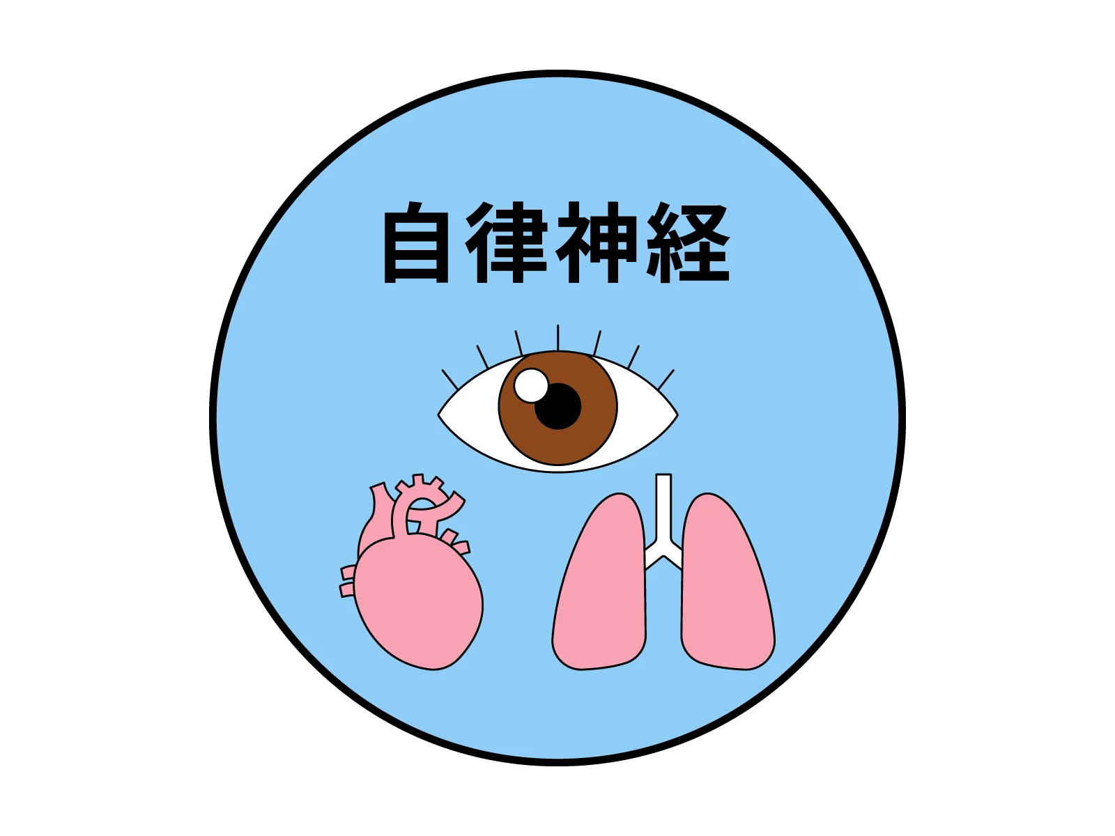 2. 貝塚のアップ整骨院について