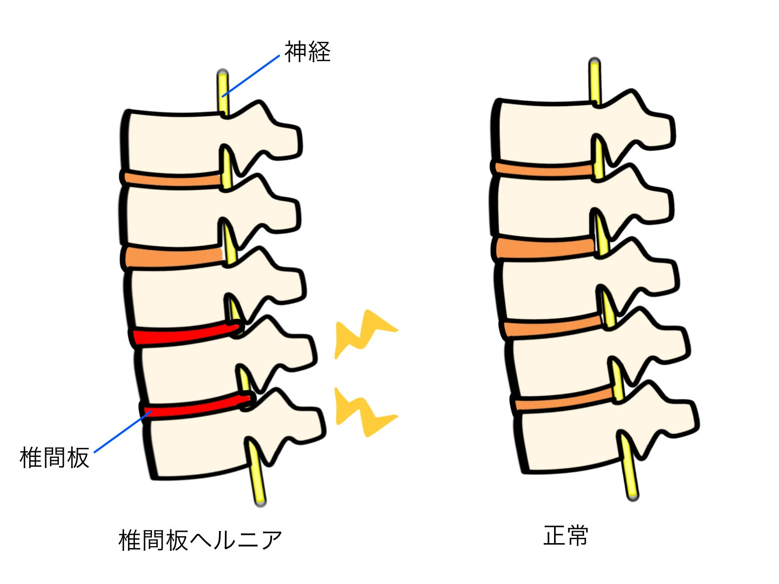 今すぐお問い合わせを！