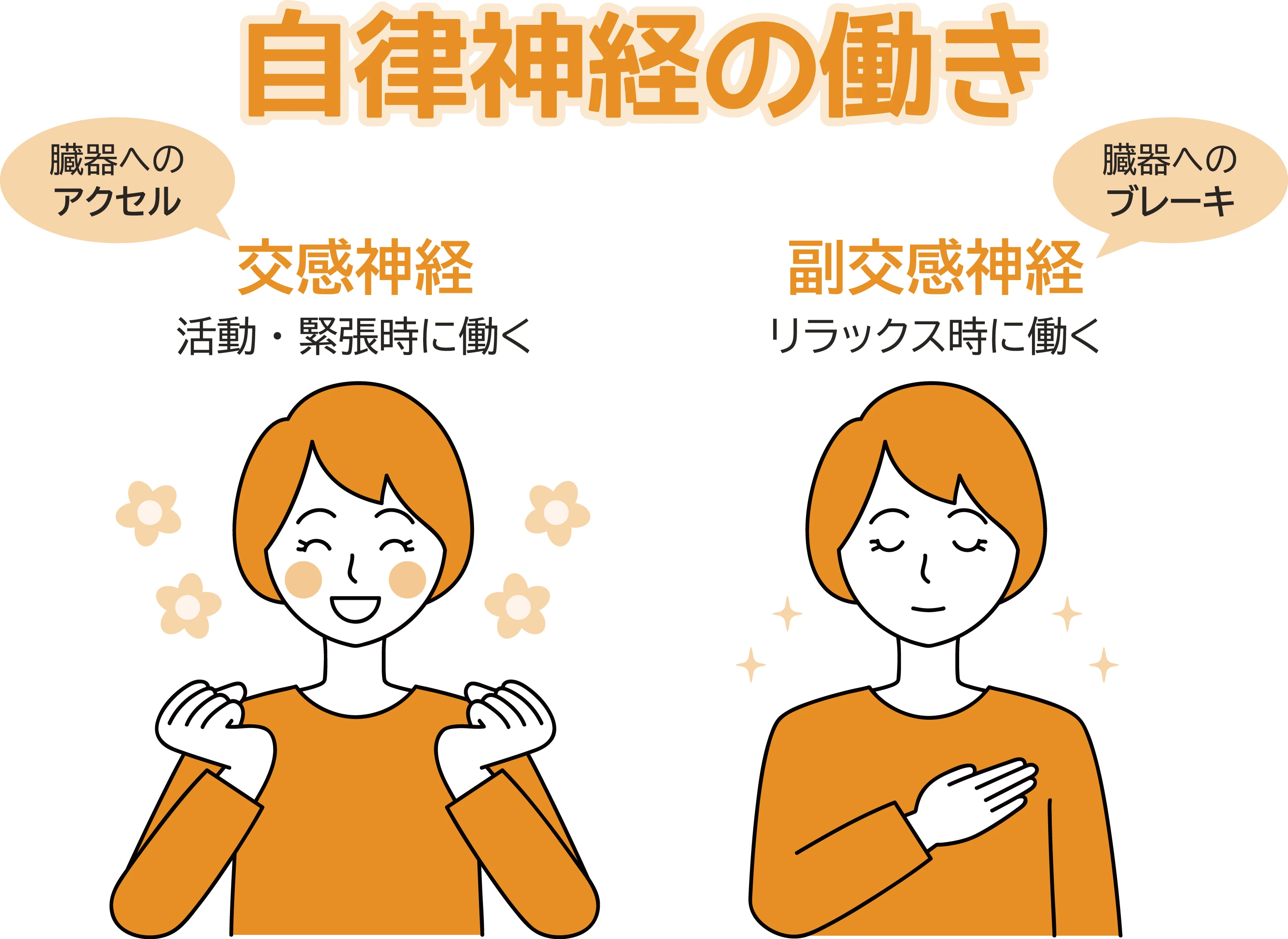 スポーツパフォーマンスの向上