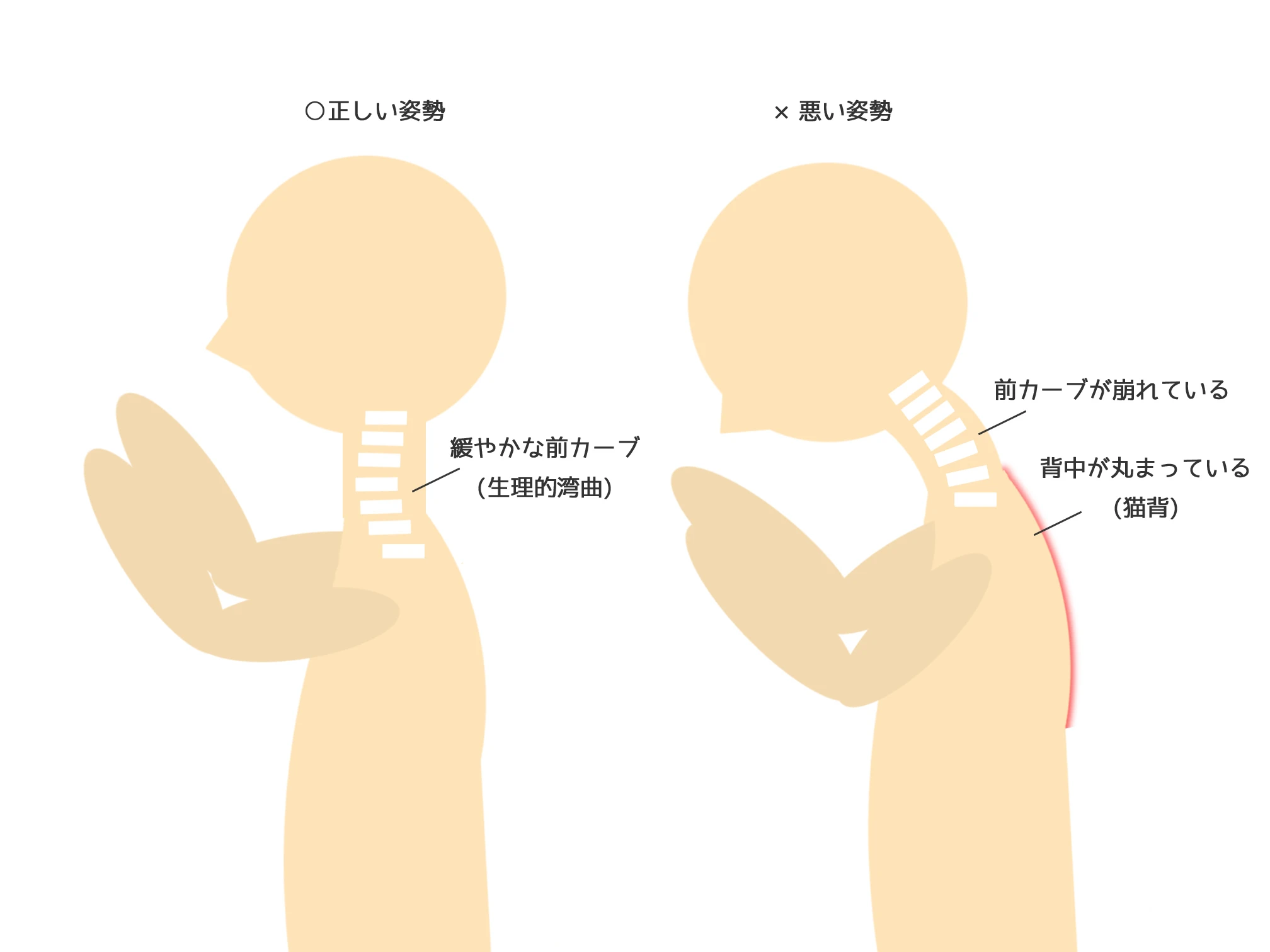 あなたの姿勢が、心身の健康を左右します！
