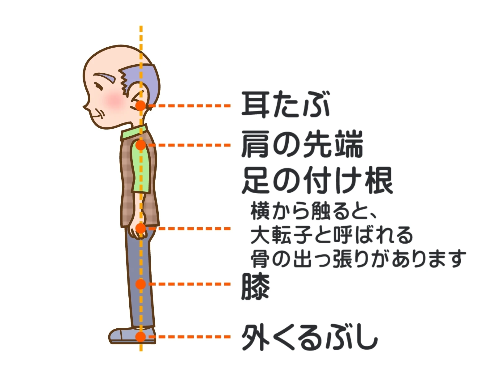 正しい身体の使い方で、効果的な動きと健康な生活を手に入れましょう！