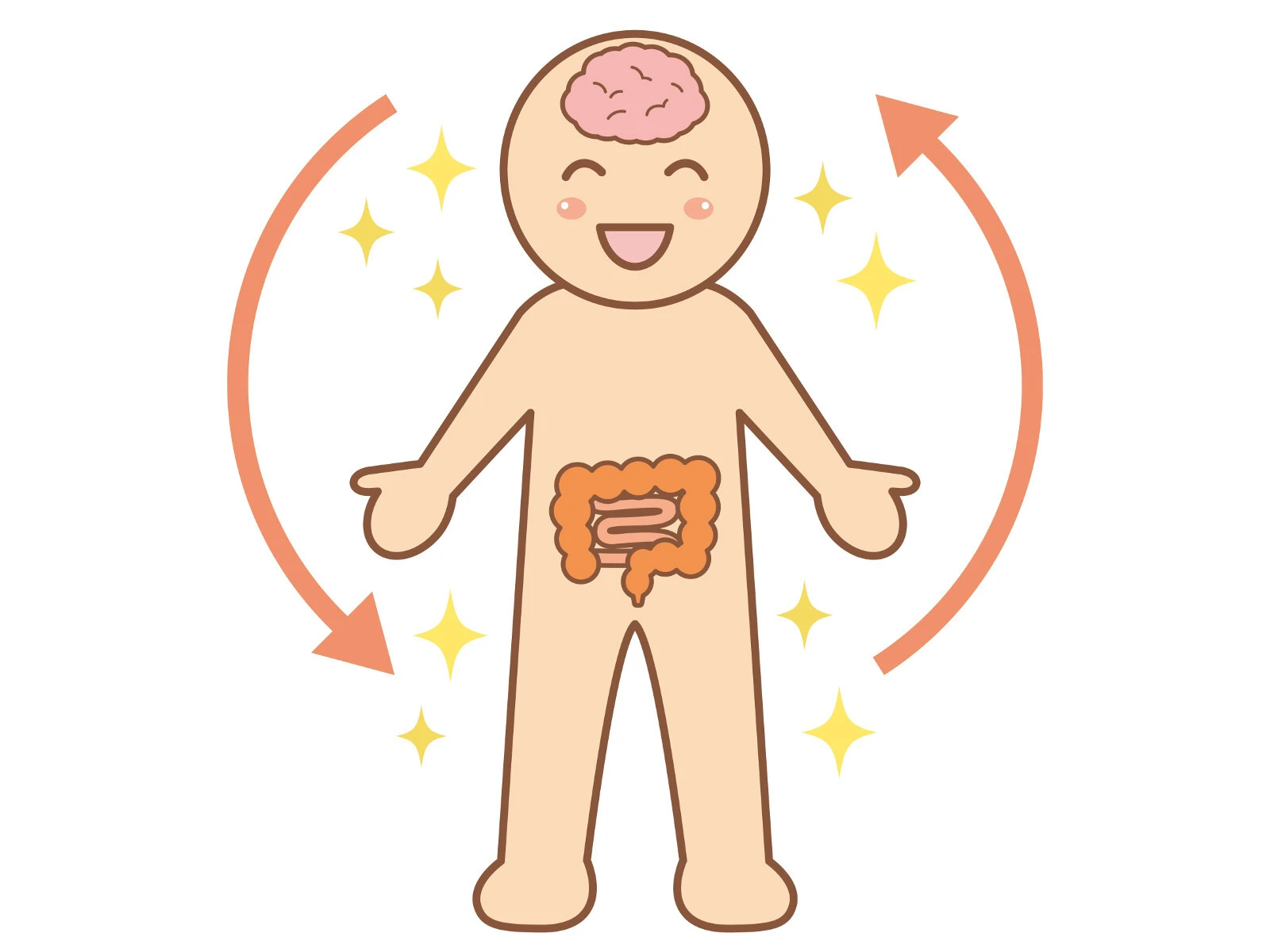 自律神経の役割とは？