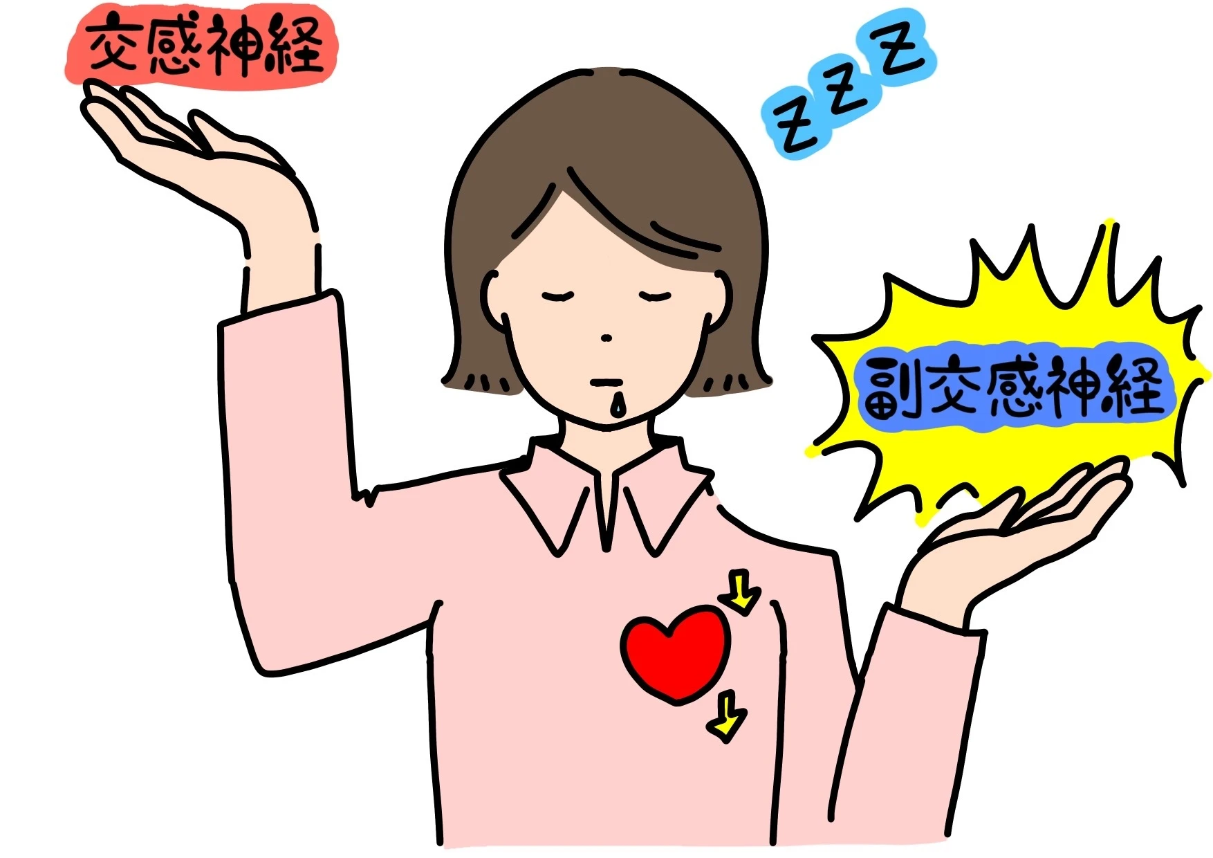 自律神経を整え、心と体のバランスを取り戻す！